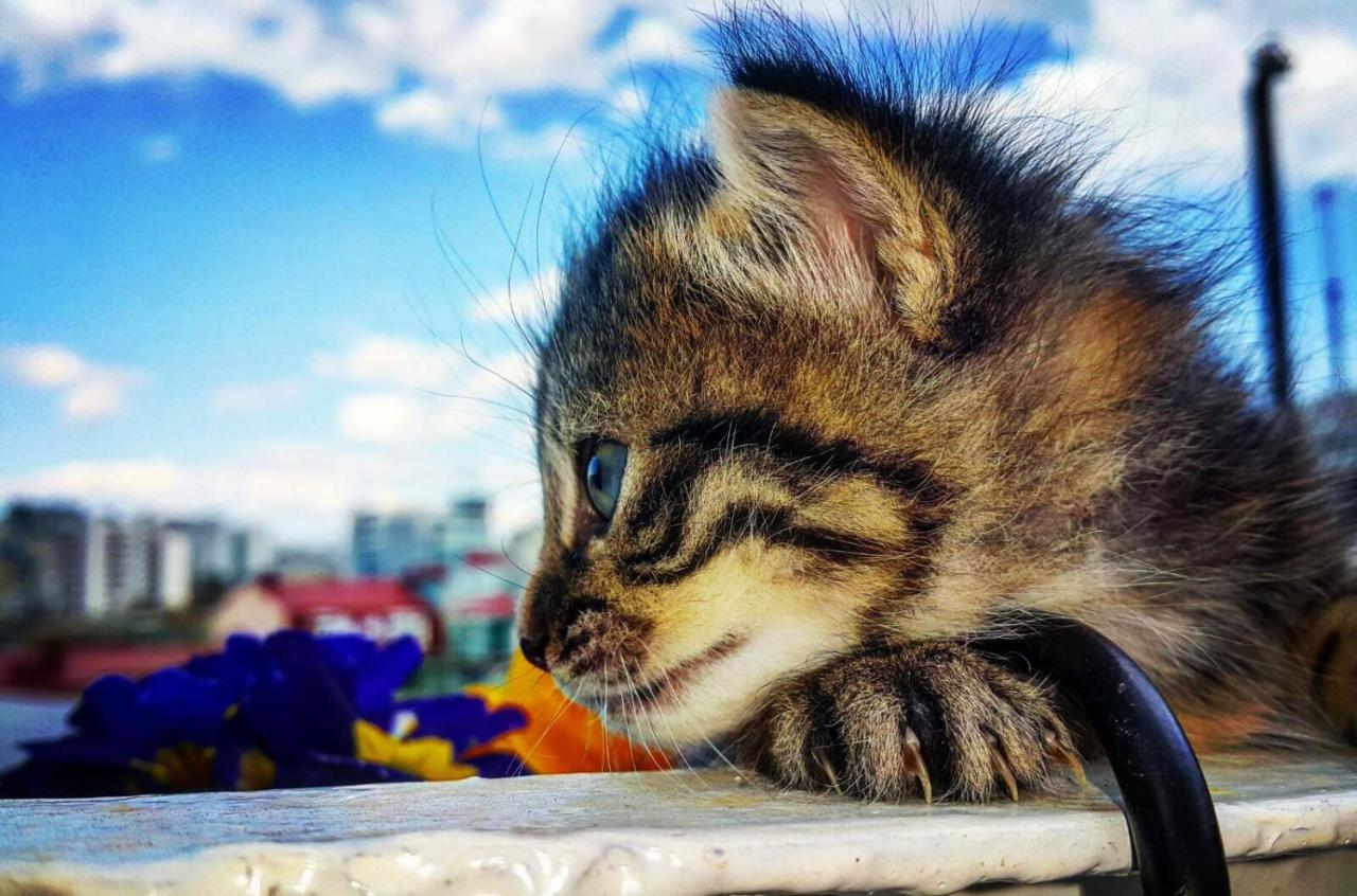 Lukyhome Tbilisi Zewnętrze zdjęcie